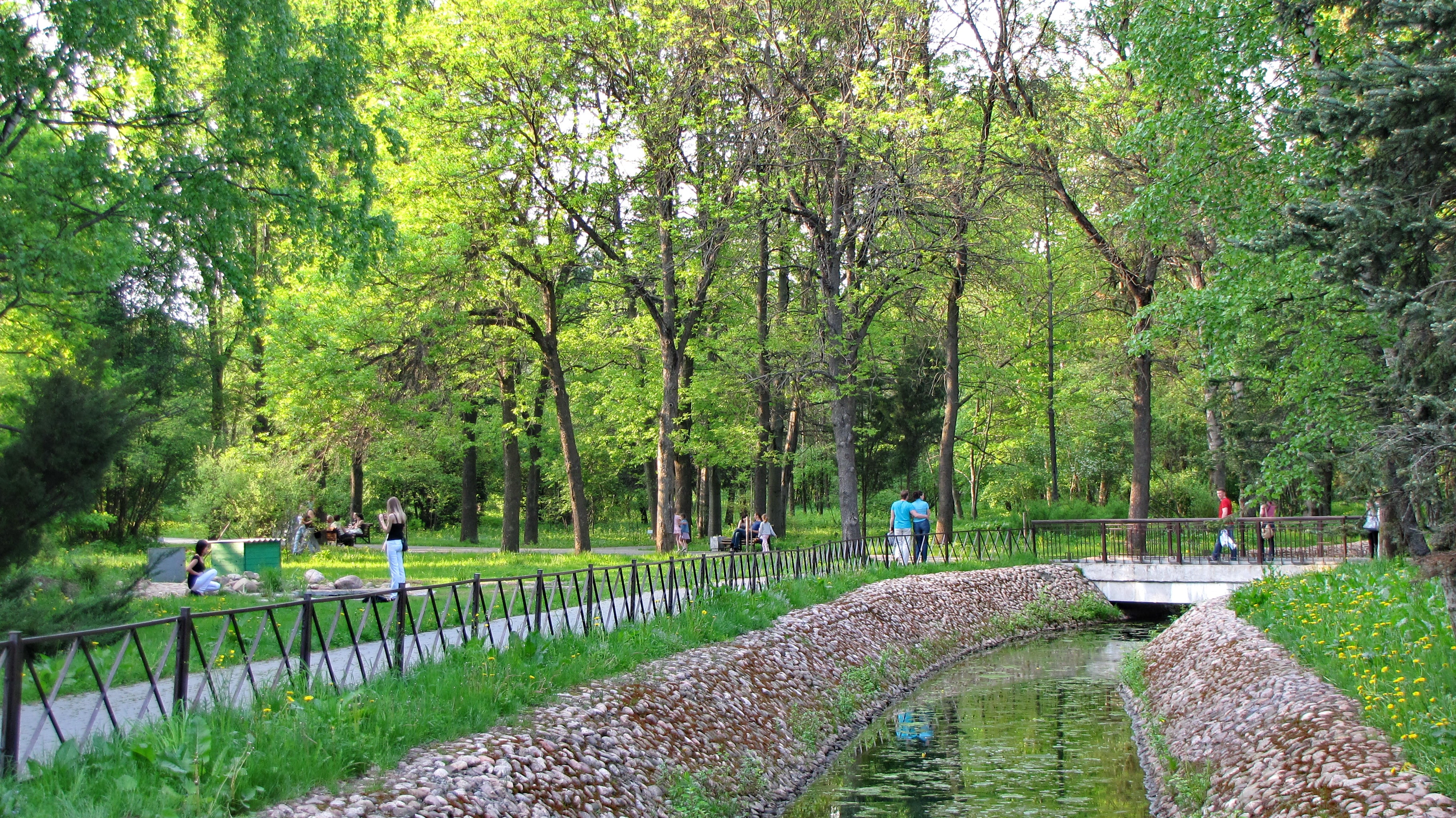 Зеленый пейзаж, водный канал и дорожка в Центральном ботаническом саду Минска